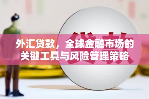 游仙外汇贷款，全球金融市场的关键工具与风险管理策略