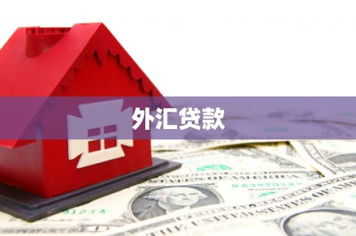 游仙外汇贷款