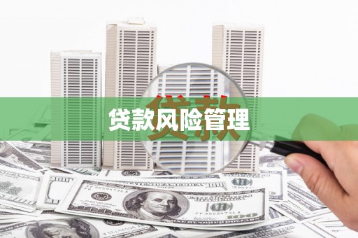 游仙贷款风险管理