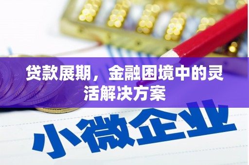 游仙贷款展期，金融困境中的灵活解决方案