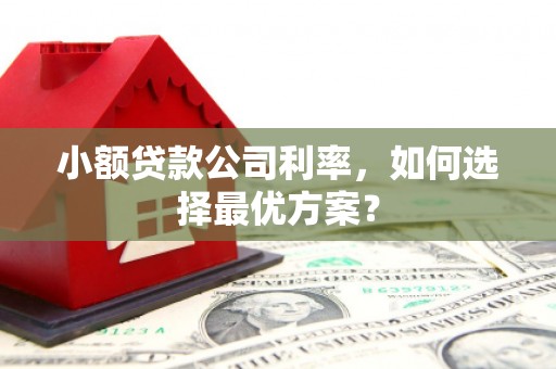 游仙小额贷款公司利率，如何选择最优方案？