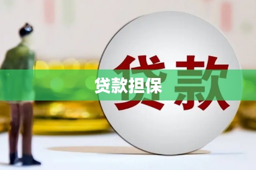 游仙贷款担保