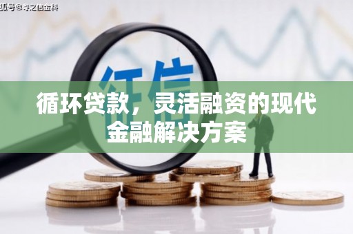 游仙循环贷款，灵活融资的现代金融解决方案