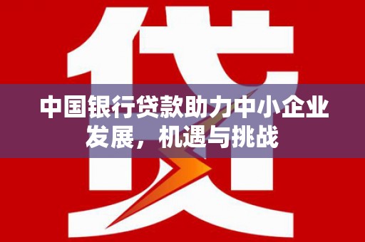游仙中国银行贷款助力中小企业发展，机遇与挑战