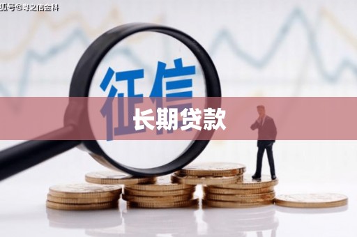 游仙长期贷款