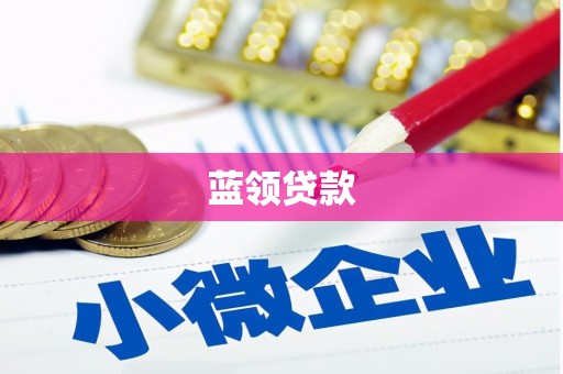 游仙蓝领贷款