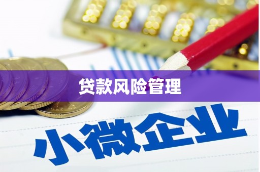 游仙贷款风险管理