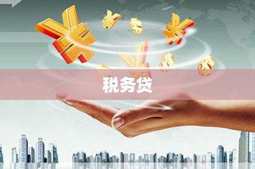 游仙税务贷
