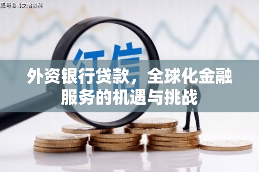 游仙外资银行贷款，全球化金融服务的机遇与挑战