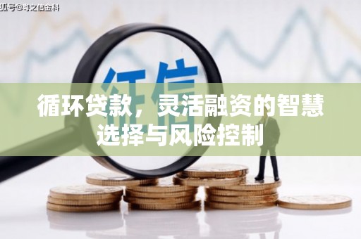 游仙循环贷款，灵活融资的智慧选择与风险控制