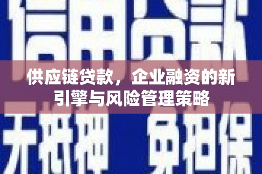 游仙供应链贷款，企业融资的新引擎与风险管理策略