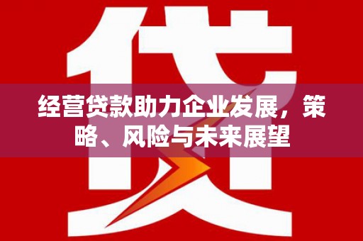 游仙经营贷款助力企业发展，策略、风险与未来展望