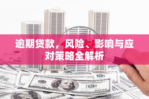 游仙逾期贷款，风险、影响与应对策略全解析