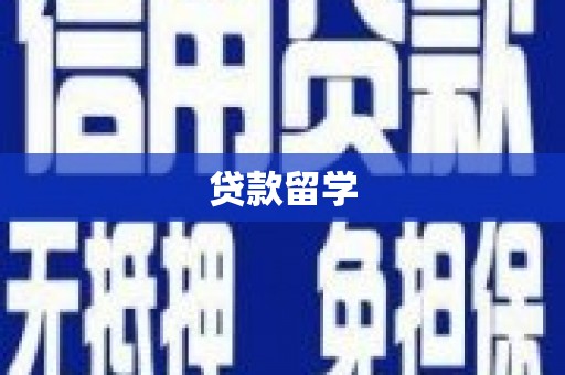 游仙贷款留学