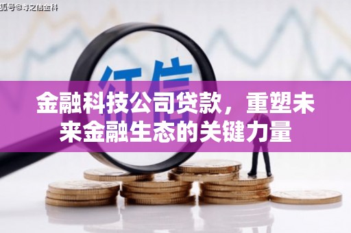 游仙金融科技公司贷款，重塑未来金融生态的关键力量