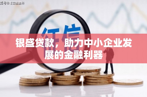 游仙银盛贷款，助力中小企业发展的金融利器