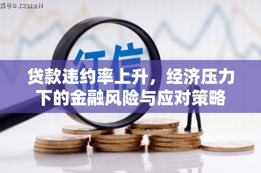 游仙贷款违约率上升，经济压力下的金融风险与应对策略