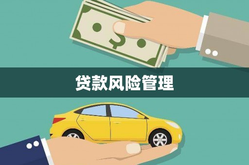 游仙贷款风险管理