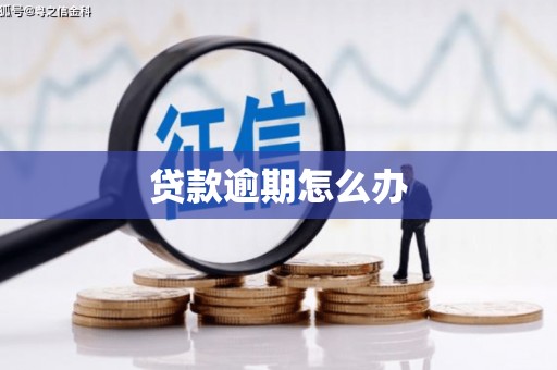 游仙贷款逾期怎么办
