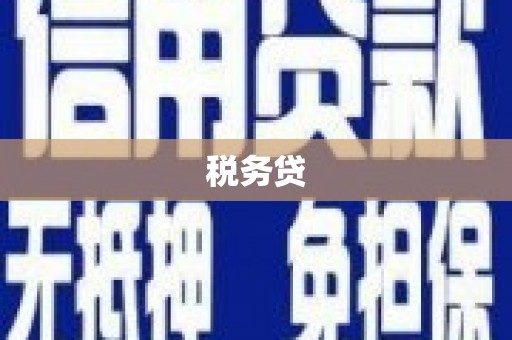 游仙税务贷