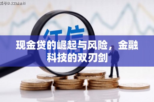 游仙现金贷的崛起与风险，金融科技的双刃剑