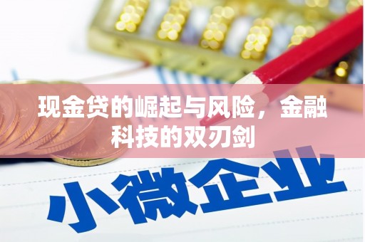 游仙现金贷的崛起与风险，金融科技的双刃剑