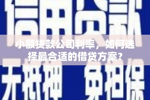 游仙小额贷款公司利率，如何选择最合适的借贷方案？