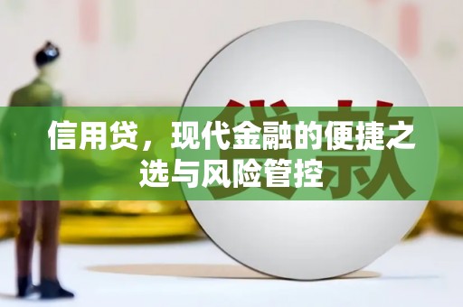 游仙信用贷，现代金融的便捷之选与风险管控