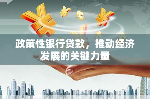游仙政策性银行贷款，推动经济发展的关键力量