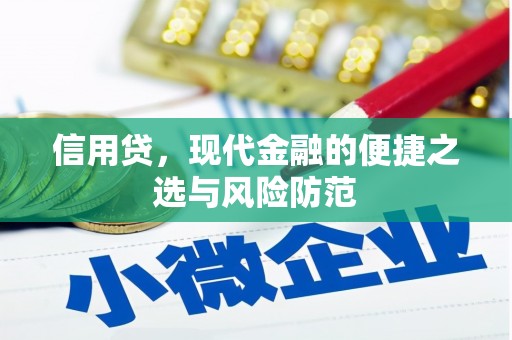 游仙信用贷，现代金融的便捷之选与风险防范