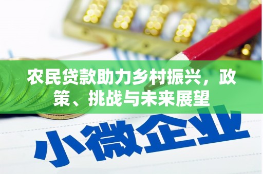 游仙农民贷款助力乡村振兴，政策、挑战与未来展望