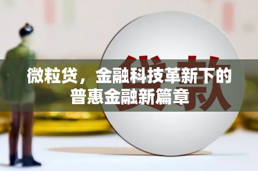 游仙微粒贷，金融科技革新下的普惠金融新篇章