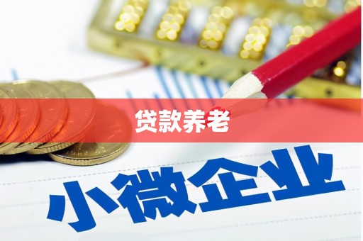 游仙贷款养老