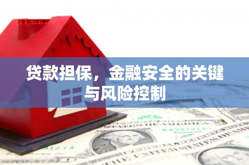 游仙贷款担保，金融安全的关键与风险控制