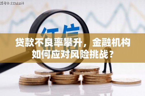 游仙贷款不良率攀升，金融机构如何应对风险挑战？