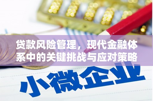 游仙贷款风险管理，现代金融体系中的关键挑战与应对策略