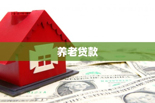 游仙养老贷款