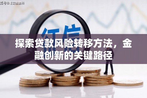 游仙探索贷款风险转移方法，金融创新的关键路径