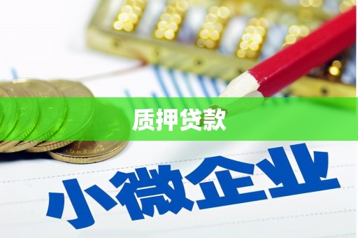 游仙质押贷款