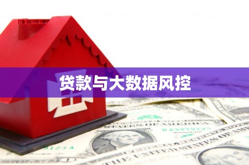 游仙贷款与大数据风控